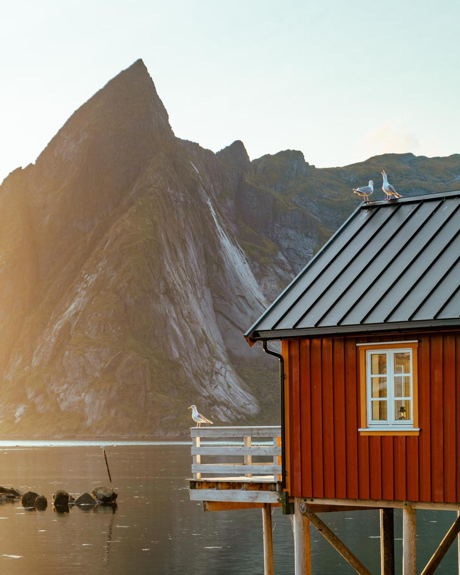 Reinefjorden Sjohus Apartment Exterior photo